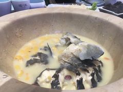 -滇小鱼·云南野生菌火锅(上杭路店)