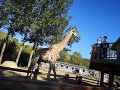 -大连森林动物园