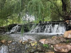 -长白岛森林公园