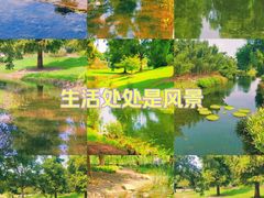 -上海辰山植物园