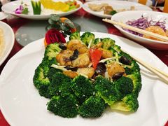 西兰花澳带-御彩酒家(东风东路店)