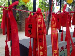 -函谷关历史文化旅游区