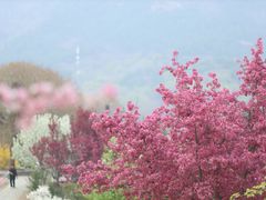 -国家植物园
