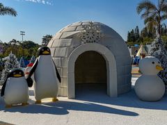 -汕头中海黄金海岸水上乐园