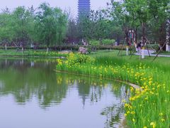 -西海子公园