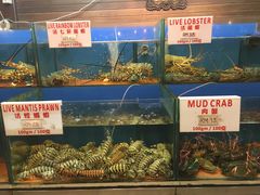-真浪花园海鲜餐馆