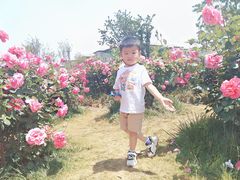 -庾园
