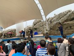 -芜湖新华联大白鲸海洋公园
