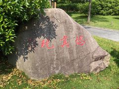 -东方绿舟景区