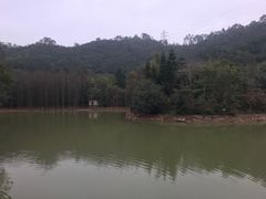 -滴水岩森林公园