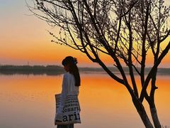 -丁香湖公园