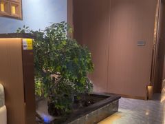 -南山翁新概念川菜(江宁万达广场店)