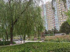 -石榴庄公园