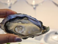 -Oyster Talks 四度蚝法餐厅