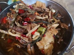 -鱼乐岛餐厅·户外花园主题餐厅