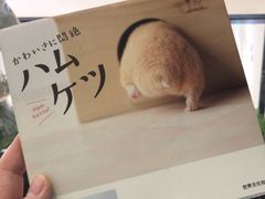 -雨林宠物医院 非犬猫异宠专科