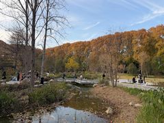 -河南省黄河迎宾馆