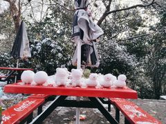 -紫金山山顶公园