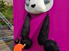 -西霞口神雕山野生动物世界