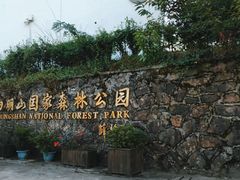 -四明山国家森林公园