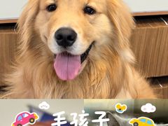 -派联宠物医院·24h·CT·异宠