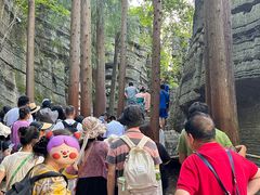 -梭布垭石林景区