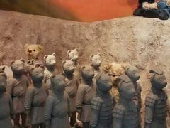 -济州岛泰迪熊博物馆