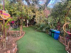 -呀路古热带植物园