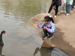 -大青山野生动物园