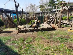 -大连森林动物园