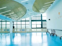 -西安小天鹅艺术团(曲江Alice店)