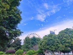-成都南湖公园