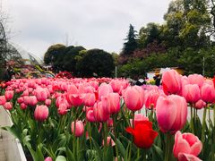 -南山植物园