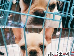 -万达广场(北京槐房店)