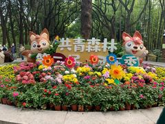 -上海共青森林公园
