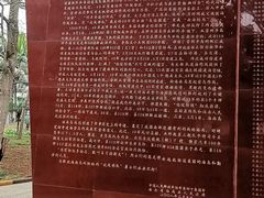 -临高角