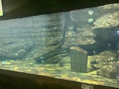 -梦幻海洋王国(吾悦广场张家港店)