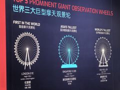 -新加坡摩天观景轮