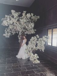 点击看大图 -完美新娘婚纱摄影