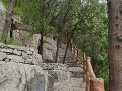 -佛慧山