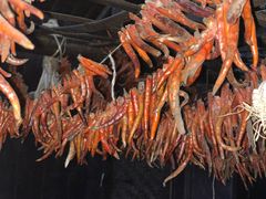 -西双版纳基诺山寨