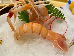 澳洲鳌虾-本逸·割烹料理(湖墅店)