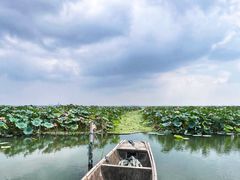 -莲花岛景区