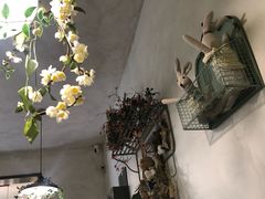 -春风·有糖(崇宁路店)