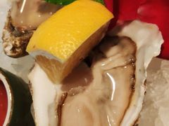 -Oyster Talks 四度蚝法餐厅