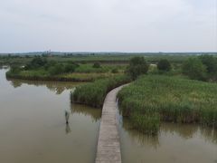 -盐城丹顶鹤湿地生态旅游区
