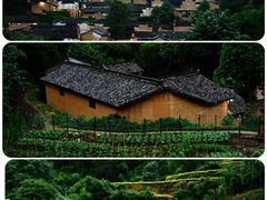 -杨家堂村