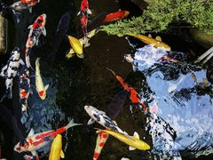 -贵阳高新惠诚食品有限公司