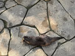 -宁波野生动物园