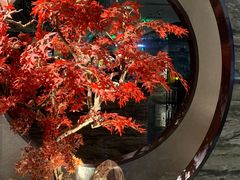 -红辣椒·川菜·火锅(大洋中心店)